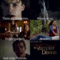 /album/fotogaleria/vampire-diaries-poster-jpg/